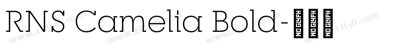 RNS Camelia Bold字体转换